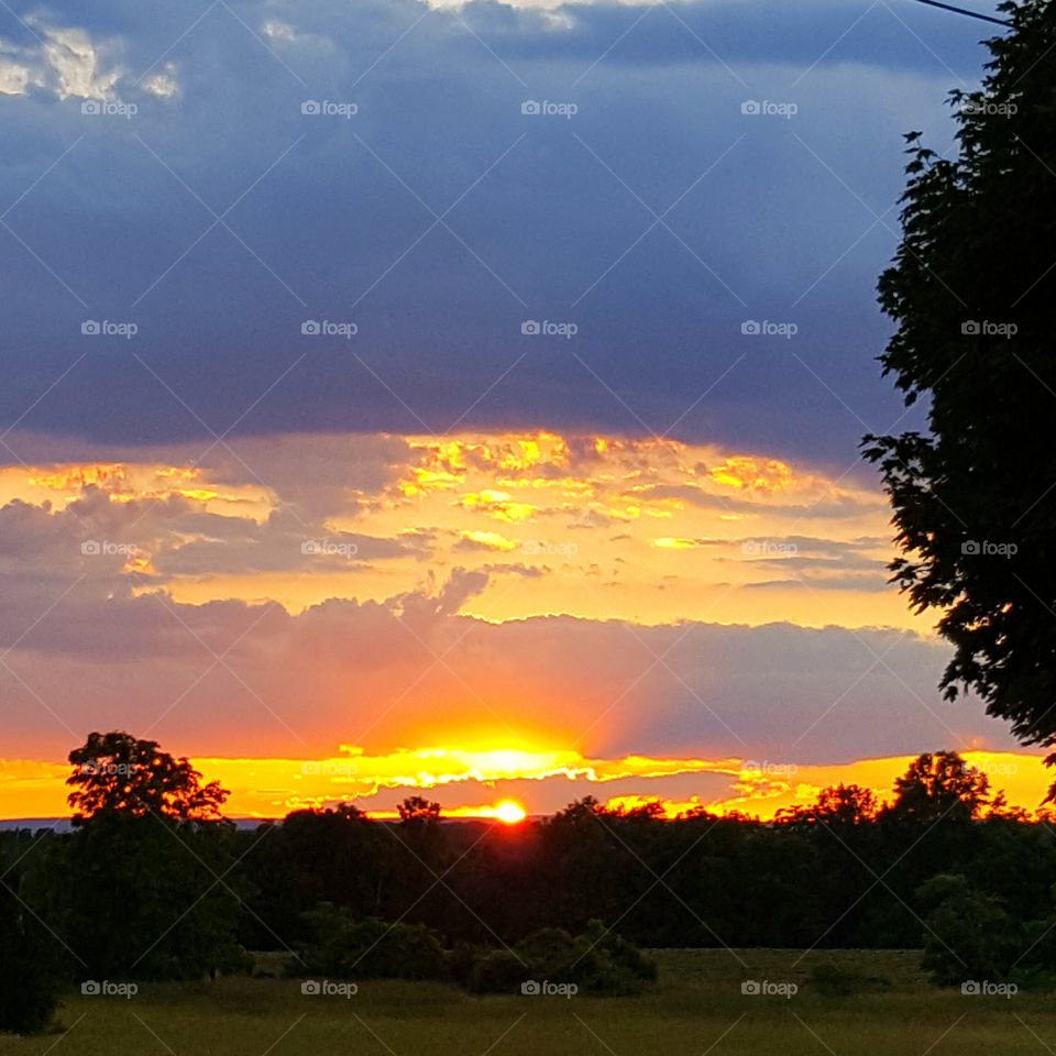 sunset