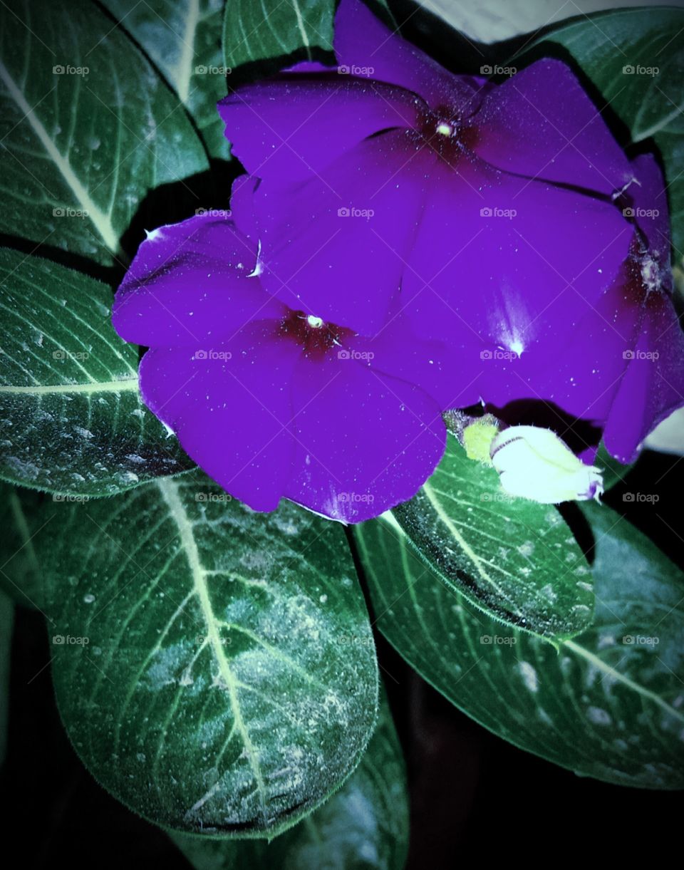 #foap #infoapartemen #foapjuly18 #foapaug18 #foapfeb18 #foapapril17 #foapers #foapjune18 #fotografoaprendiz #sfoapprentices #foaper #infoapartment #foapmission #foapmay18 #foapapr18 #foapit #infoaplikasipaytren #infoapple #foapom #foapjan19 #infoapp 