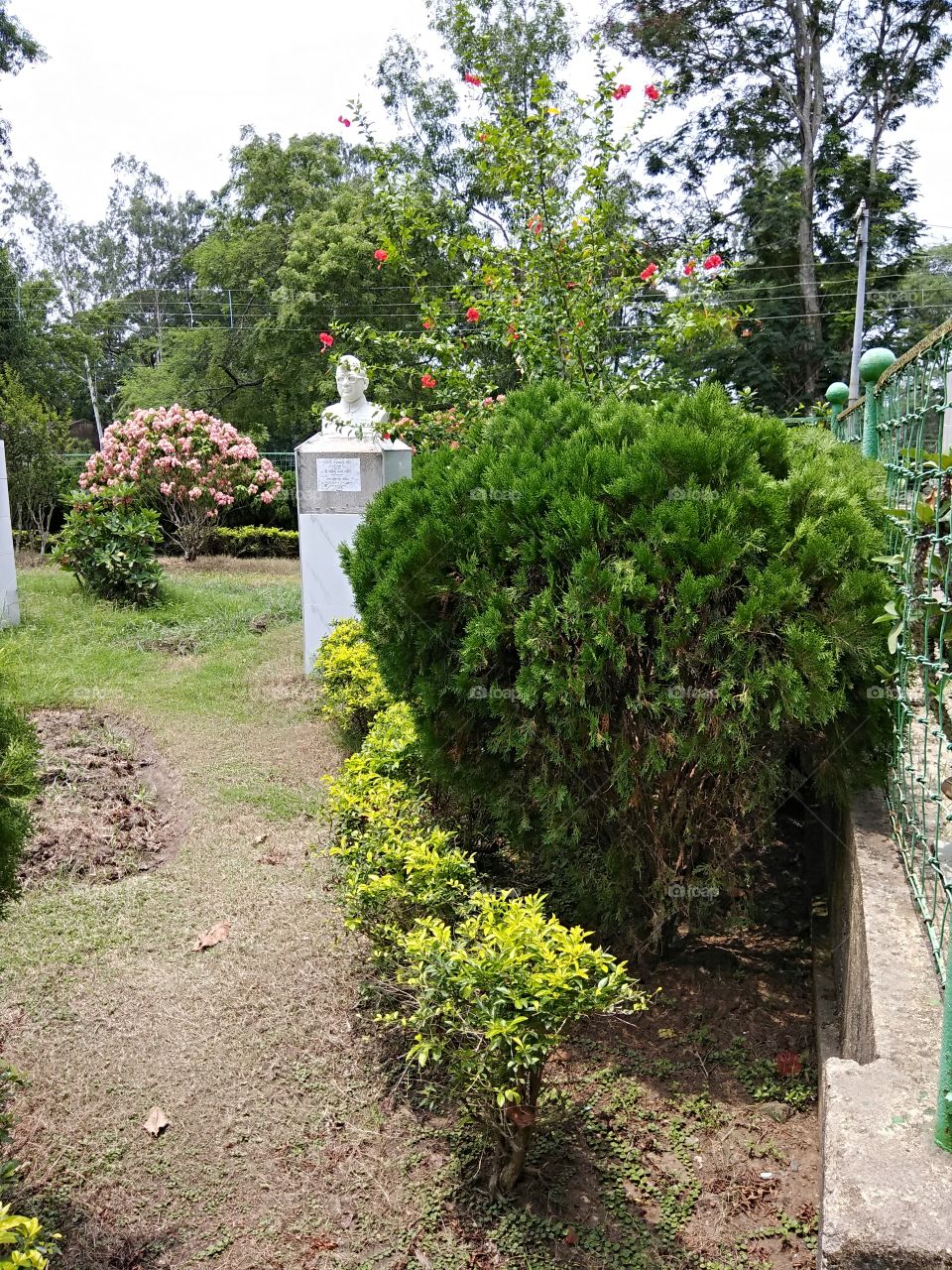 Netaji Subhaschandra Bose