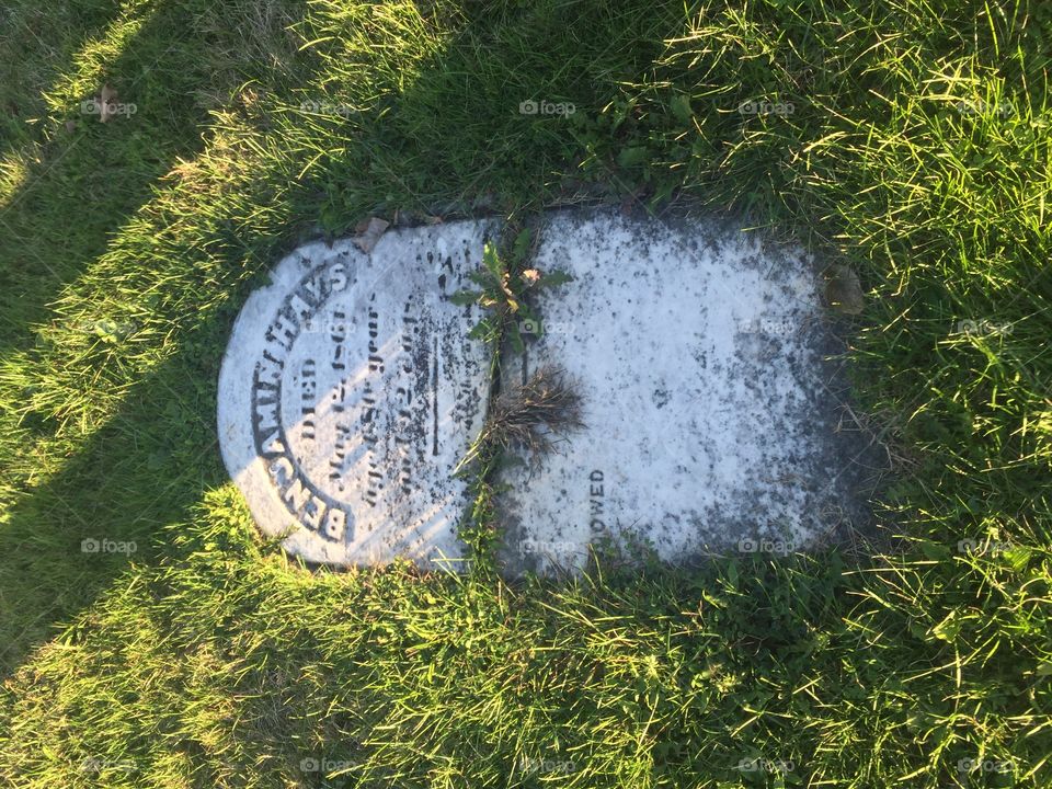 Fallen headstone