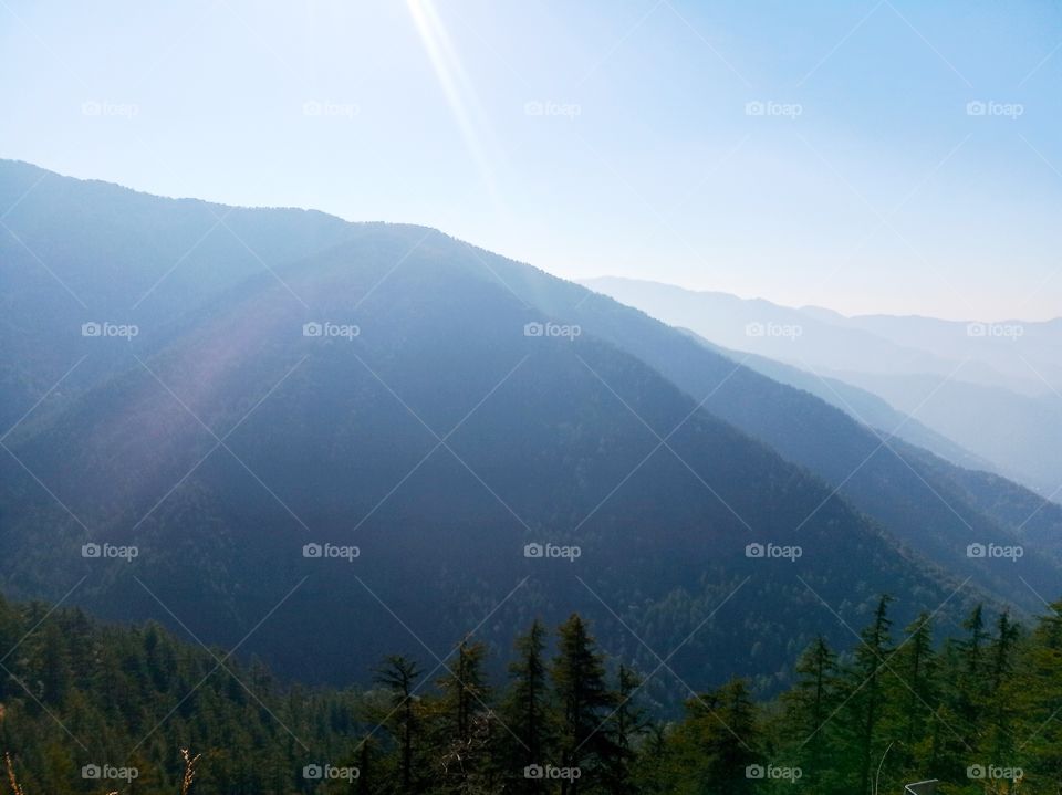 The Green Valley is surrounded by verdant hills on all sides that are covered with thick forests of pine and deodar. It is not uncommon to sight some Yaks wandering and grazing around in the valley.