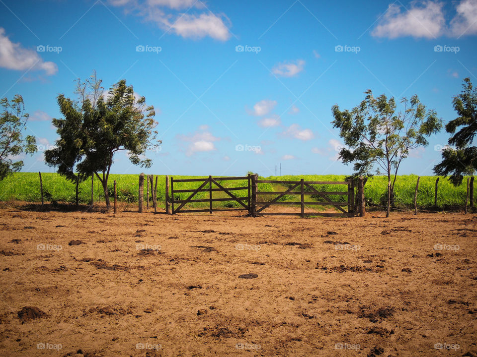 A gate made of wood to enter a farm.  It is possible to see the dry land before the gate and the green gem in the background
