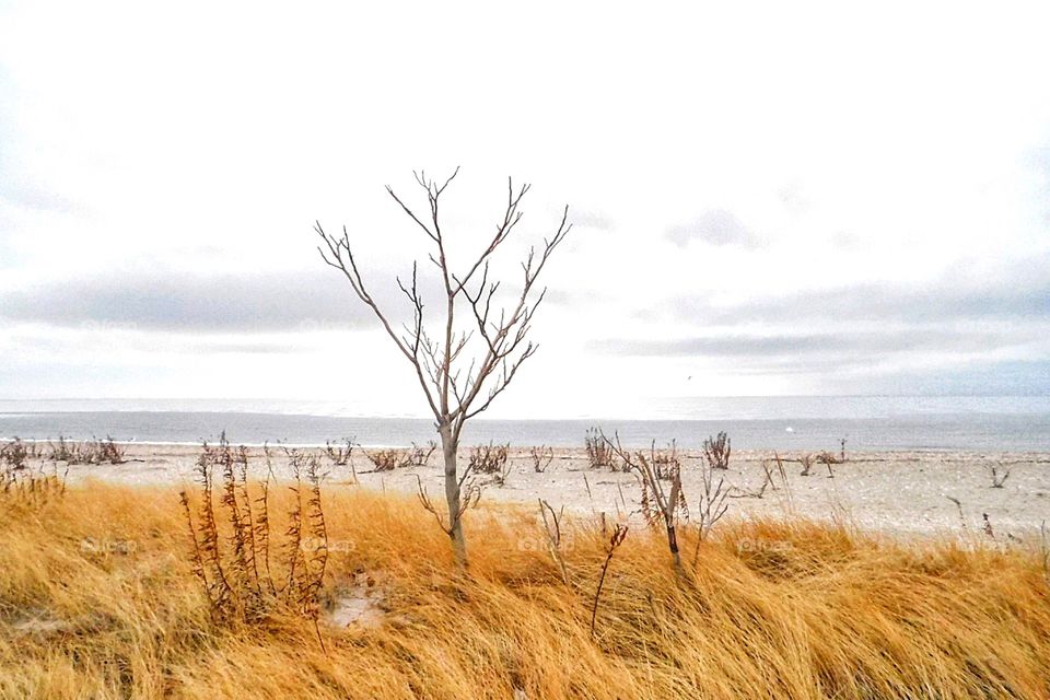 Wintery beach