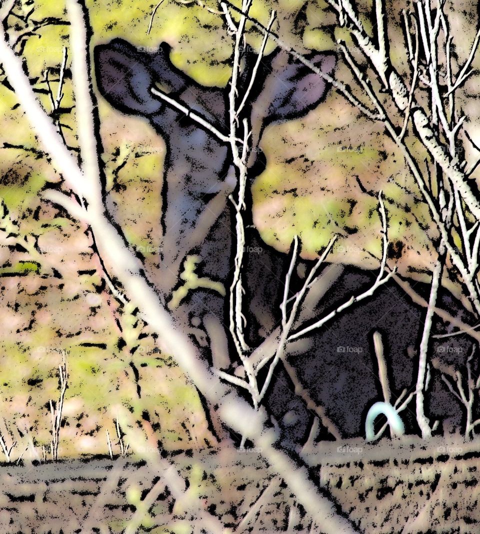 3D abstract deer looking threw trees 