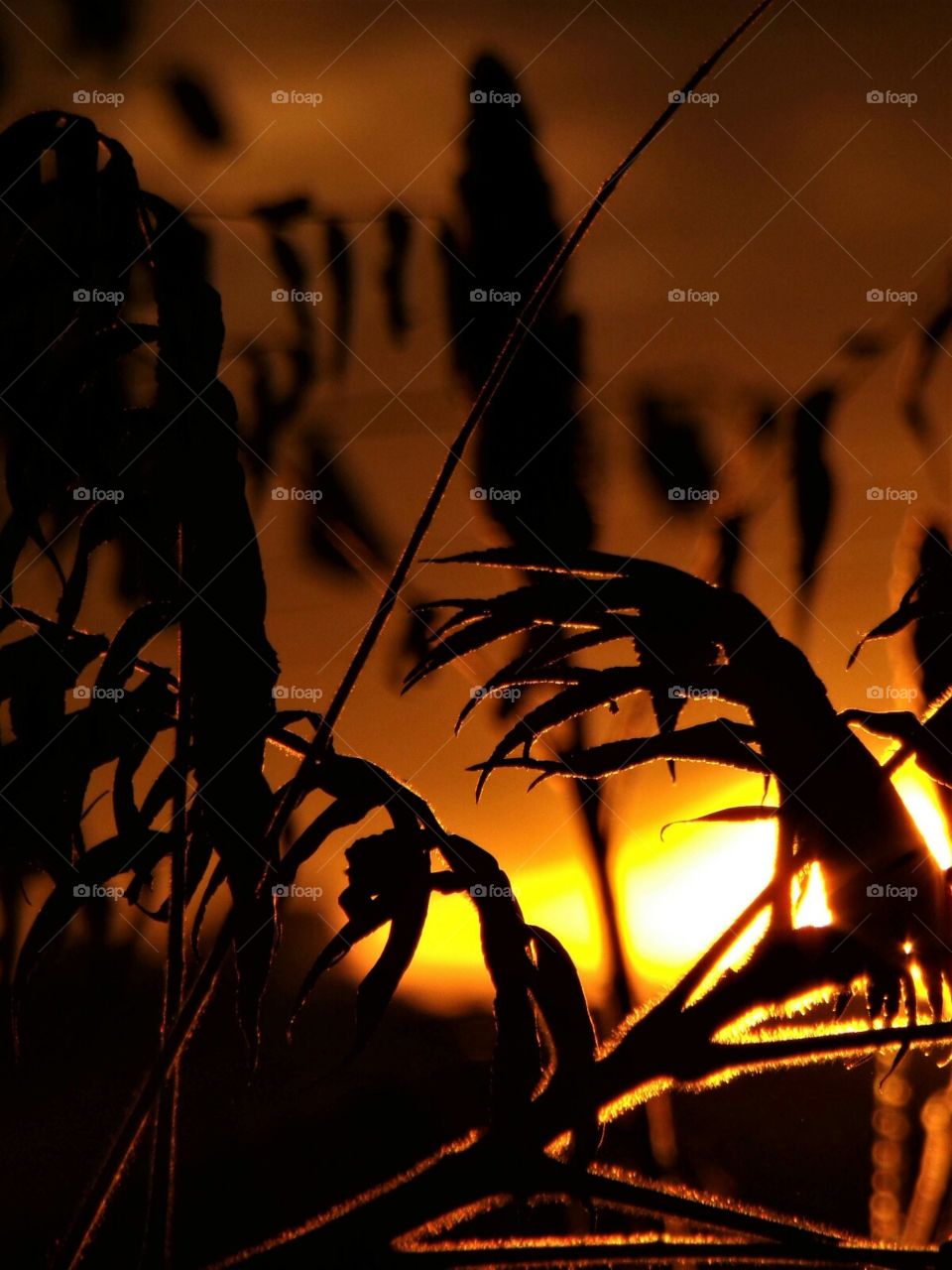 use your imagination