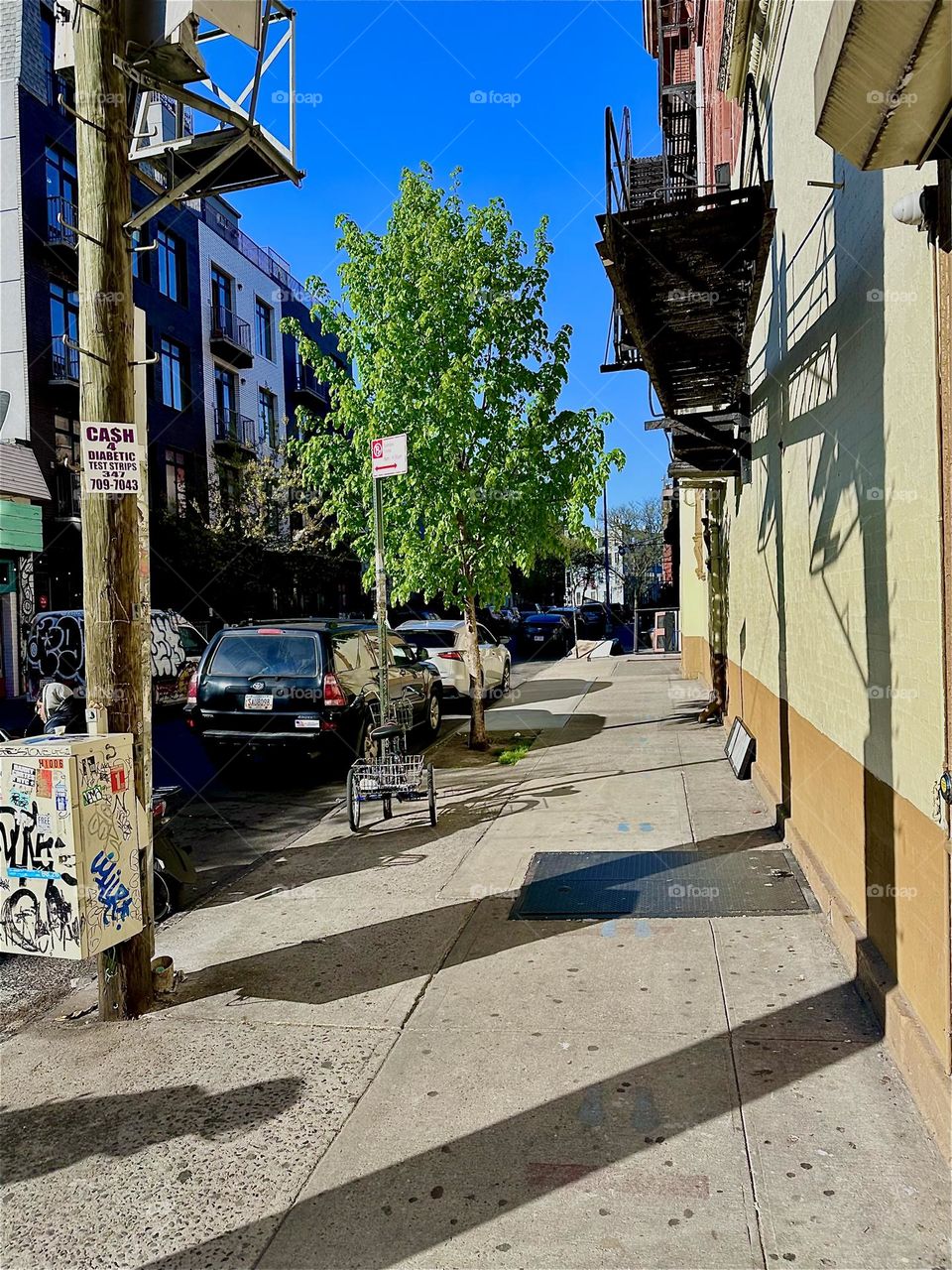 This is “Jefferson Street” off “Broadway” in “Bushwick”, Brooklyn across the street from “La Lupe”, the café restaurant. The late afternoon sun is casting dramatic shadows on the sidewalk. 2024. Hypnotic Productions