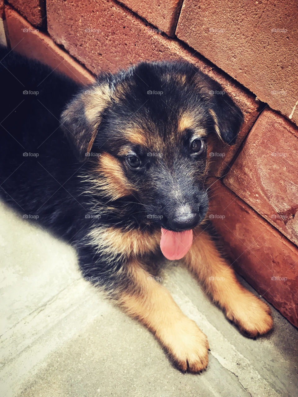 Hey.! what's up ! Just wake up and a bit dizzy, but if you choose me I won't let you down. Promise !