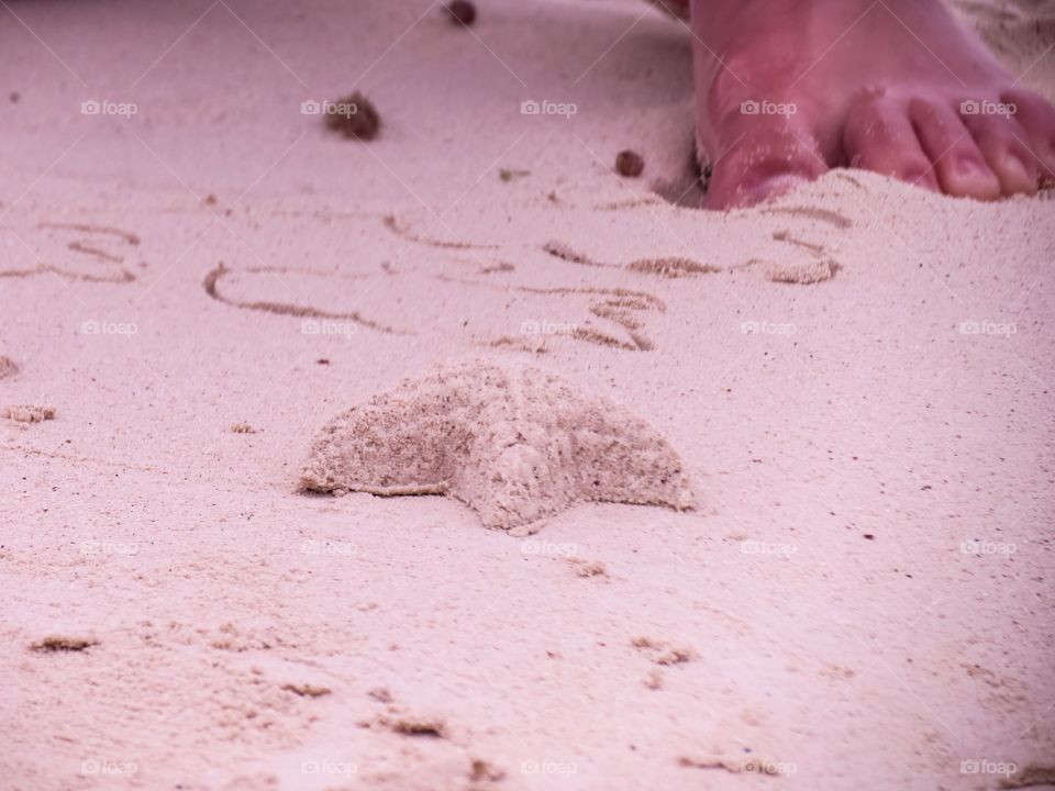 Sand star