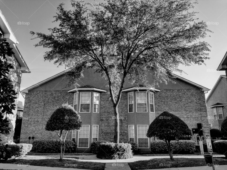 Bay windows on a residential building at Country Place in Killeen, Texas