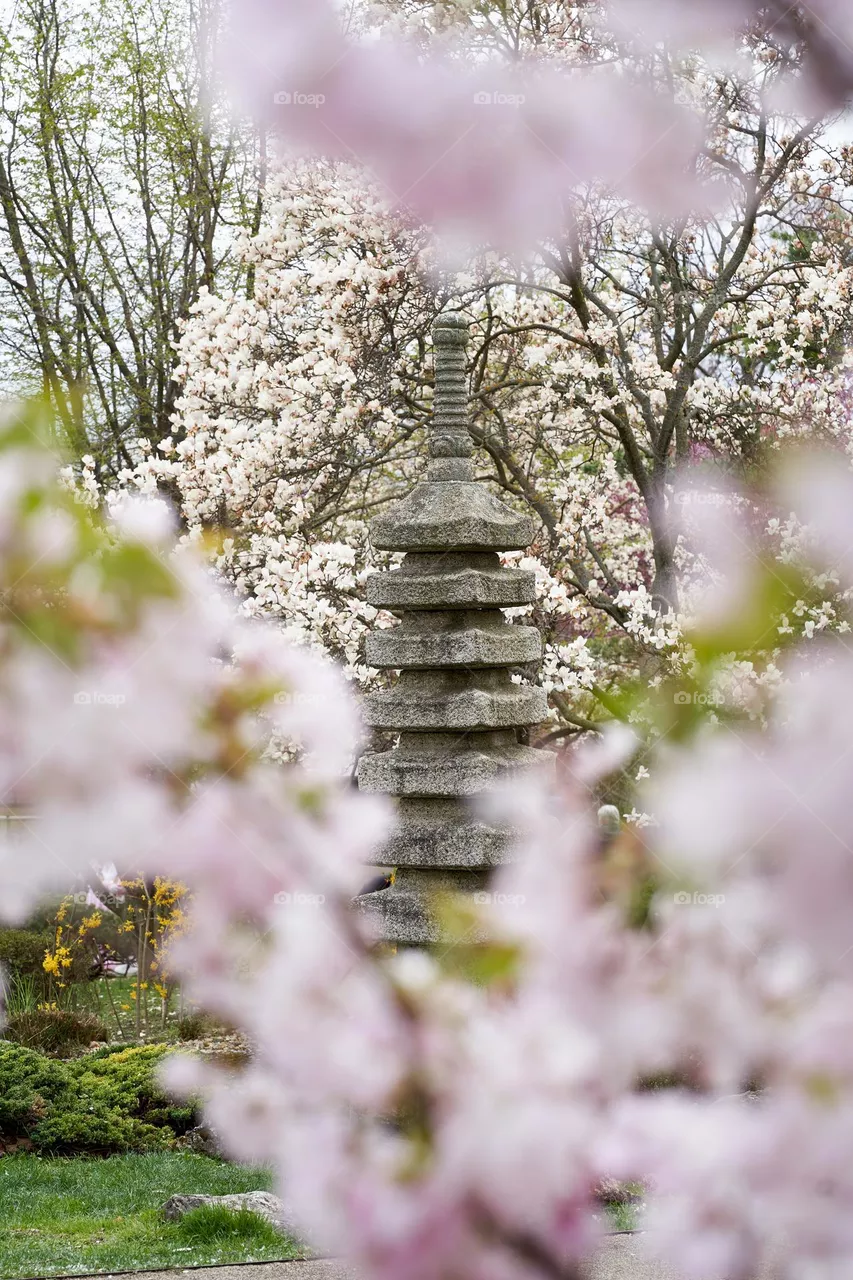 Spring