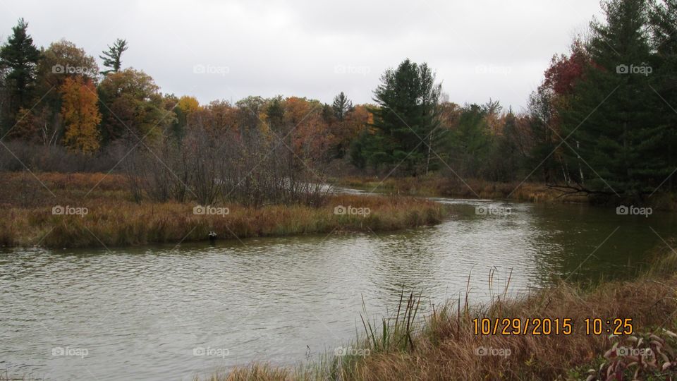 Northern Michigan 