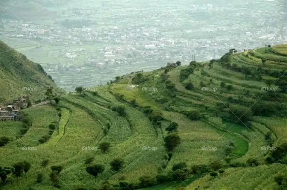 The image embodies a natural natural plate of the mountains of nature, where green agricultural stands are graded on the slopes as if they were lines of a poem, which fog harmoniously wrapped, and clouds hugged them in the mountain knife and the whis