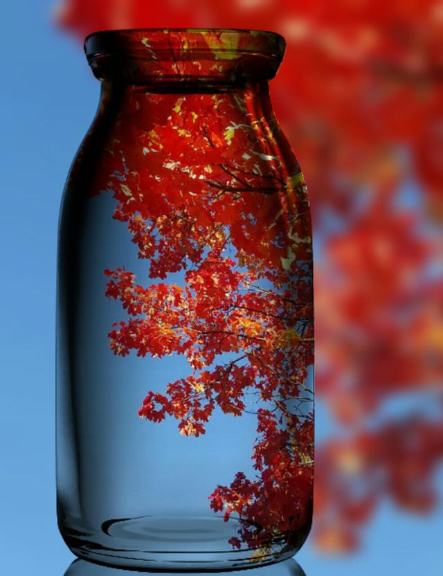 Leaf