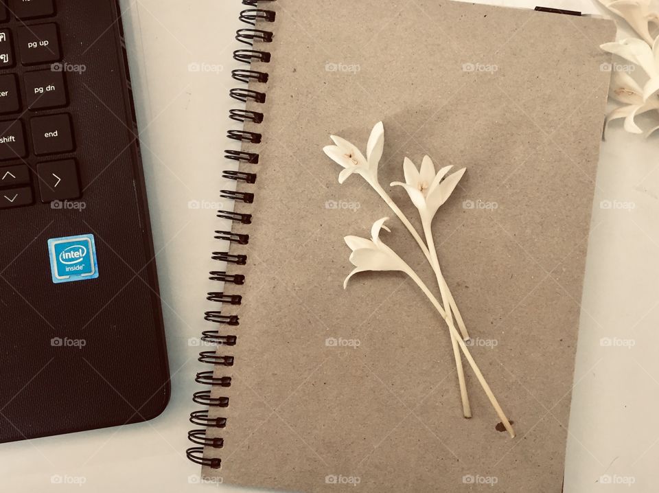 You are allowed to take your time, to grow in your own beautiful way.