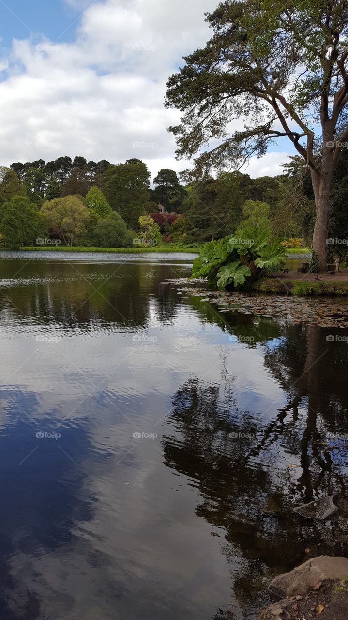 Lake side view at Mount Stewart Country gardens Northern Ireland country park