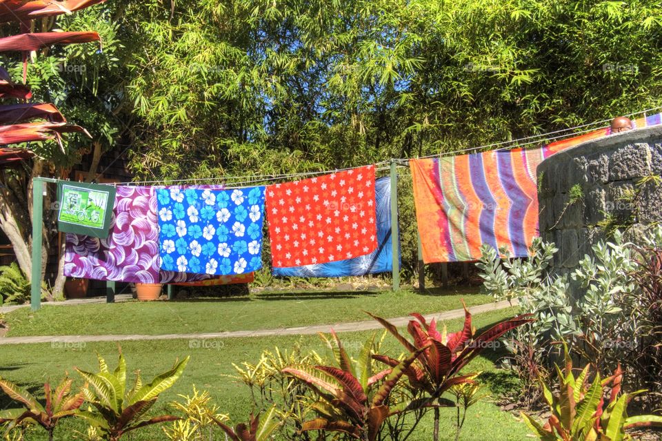 Drying Sheets 