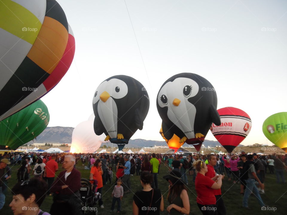 Penguin balloon