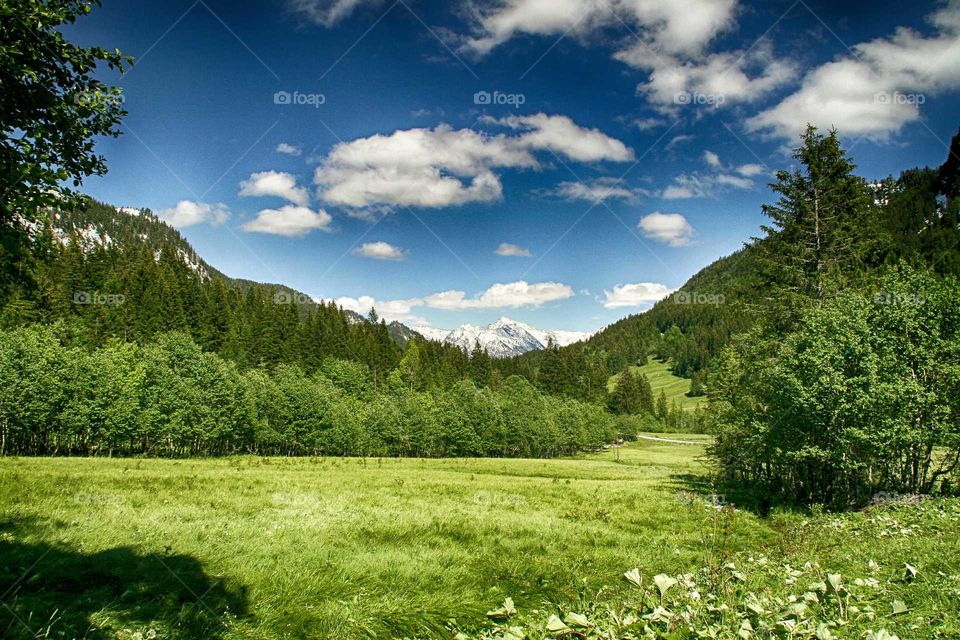 somewhere in bavaria, where you can feel the beauty of the world