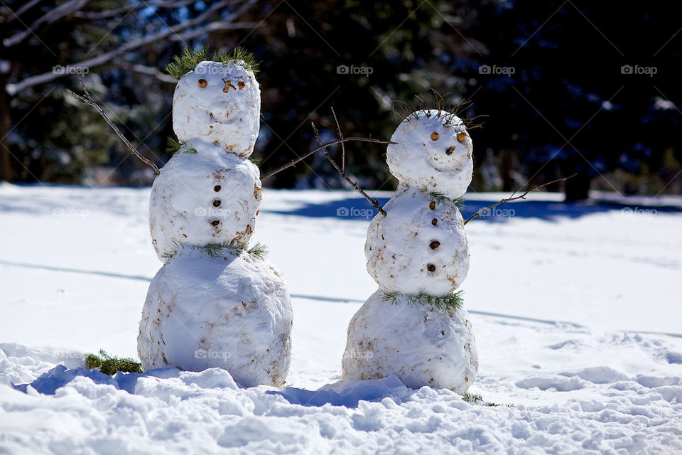 Snowmen Couple