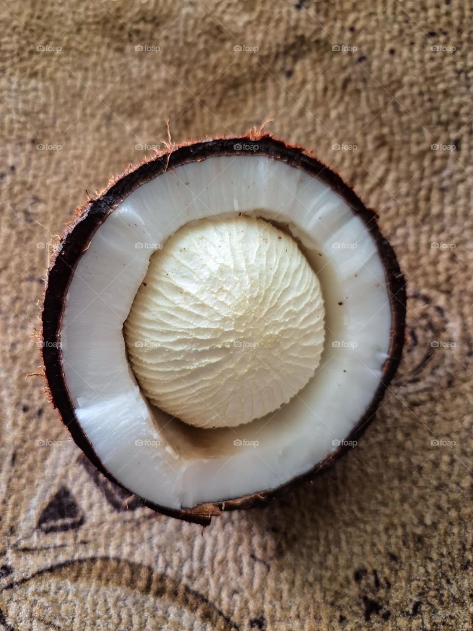 Sprouted Coconut