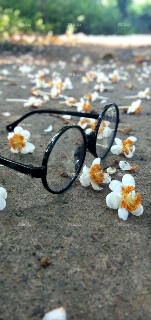 Eyeglasses and flower