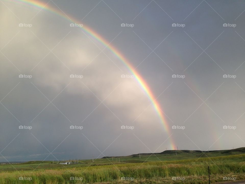 Denver Rainbow