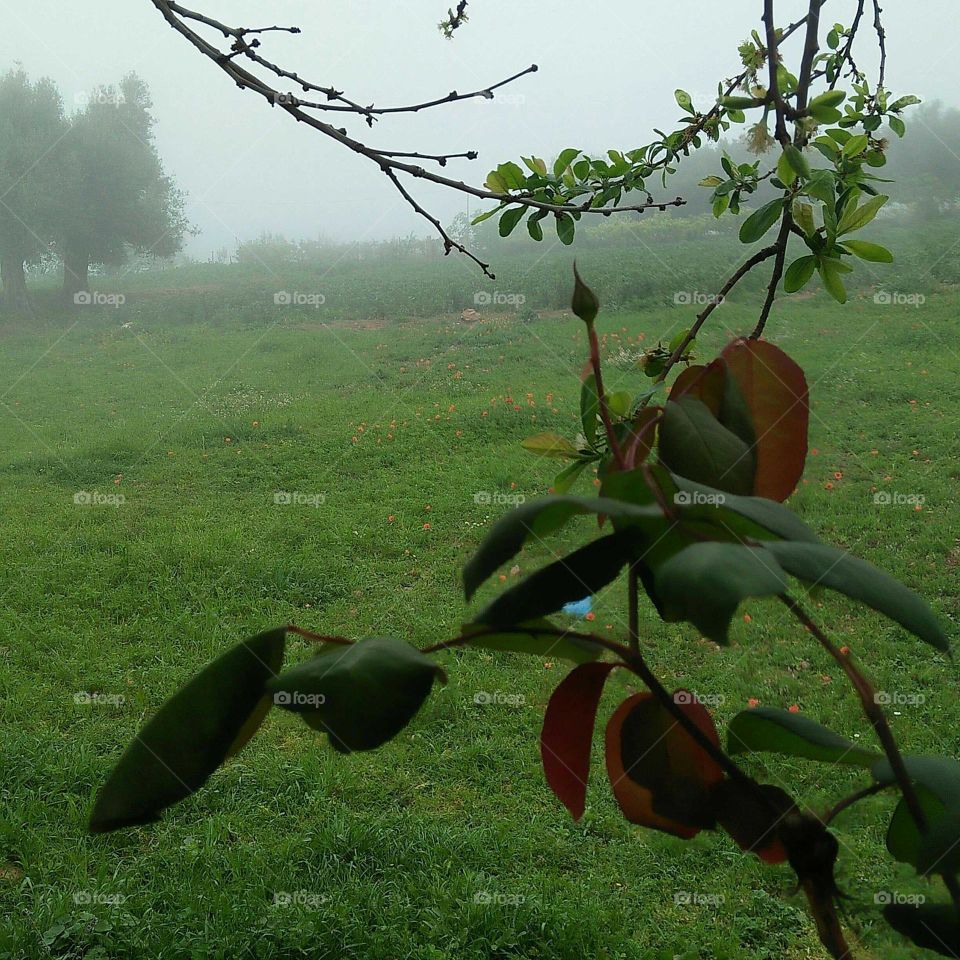 View of beautiful naure.