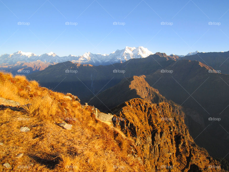 Chopta Valley