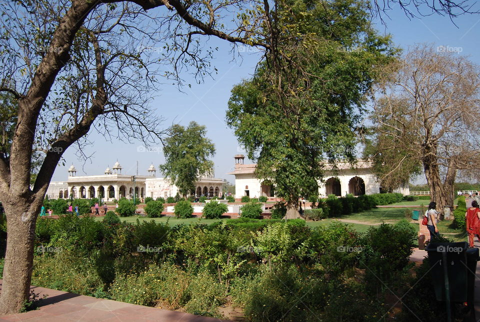 Architecture, Tree, No Person, Building, Travel