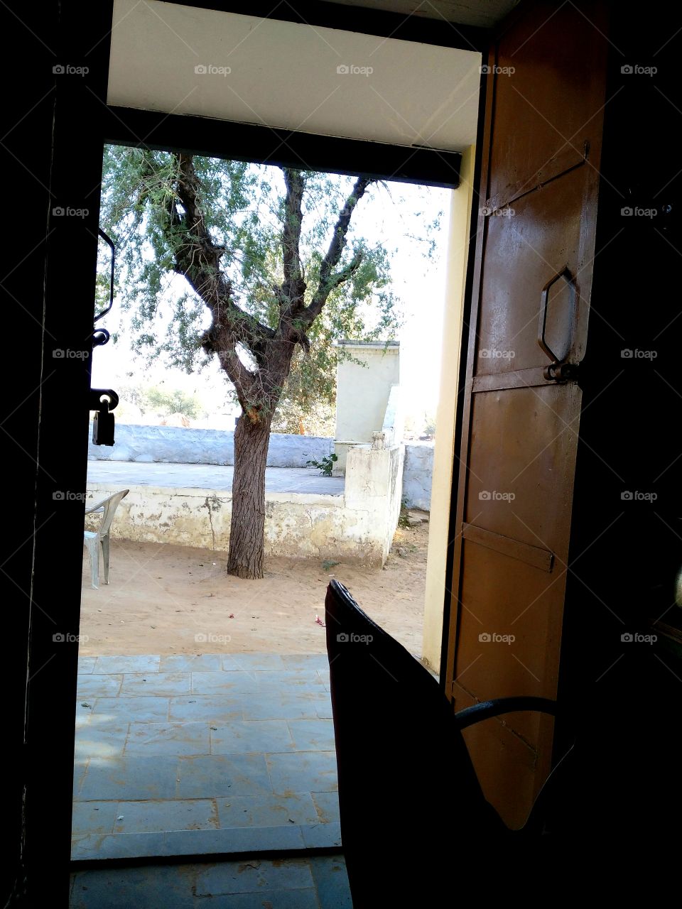 tree through the door