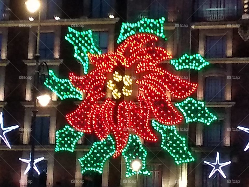 flor de Nochebuena hecho con puro luces.