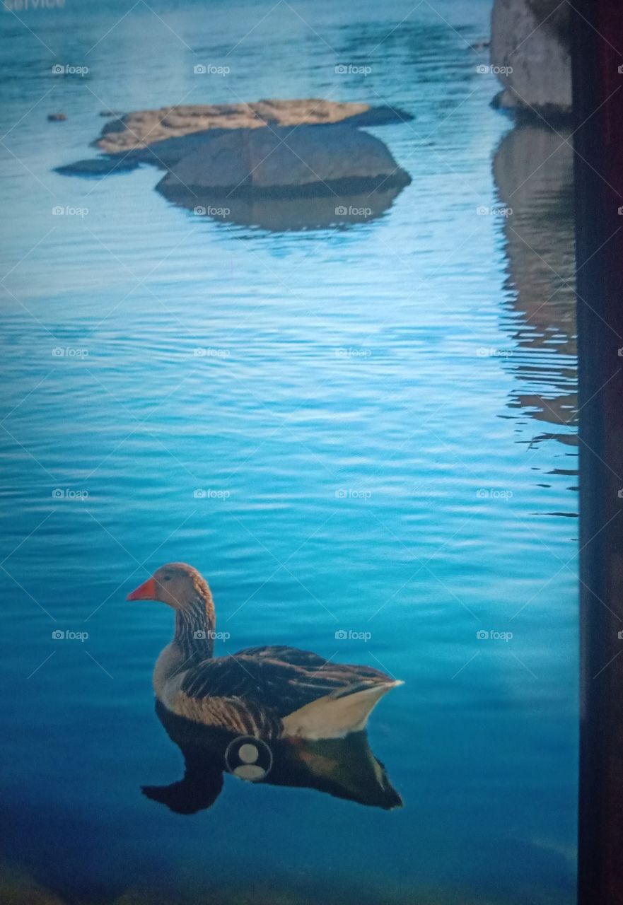 Watson Lake Park