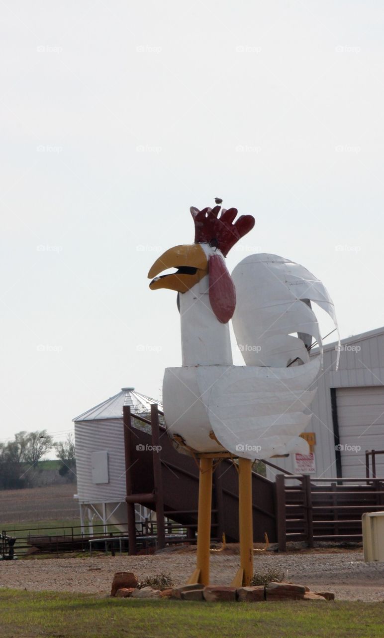 Giant Rooster in Metal