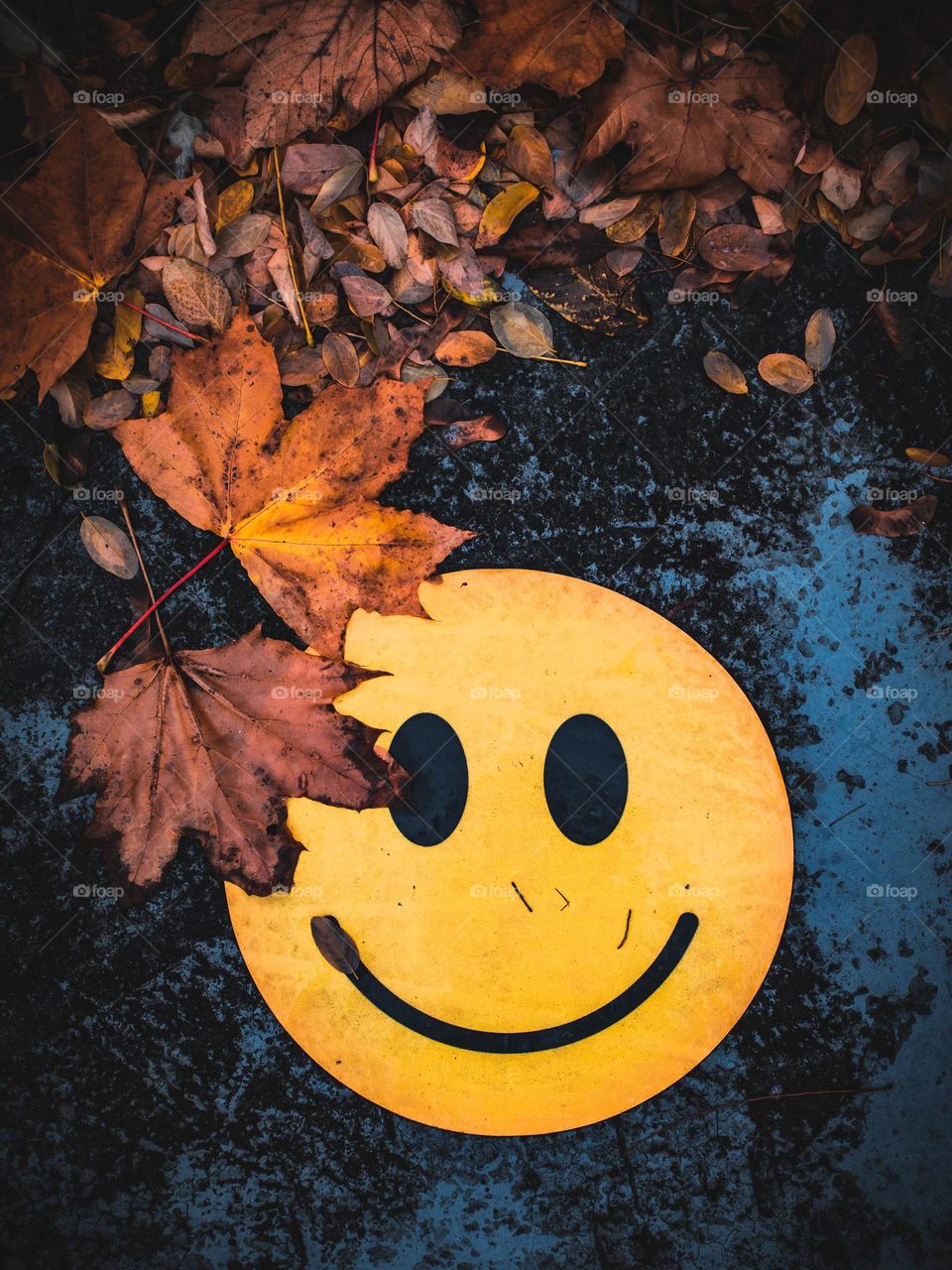 smiley face on autumn day