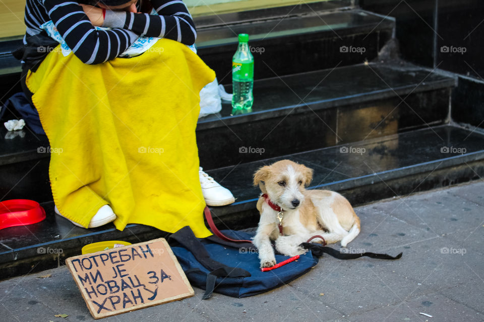 Streat begging - begger and his dog