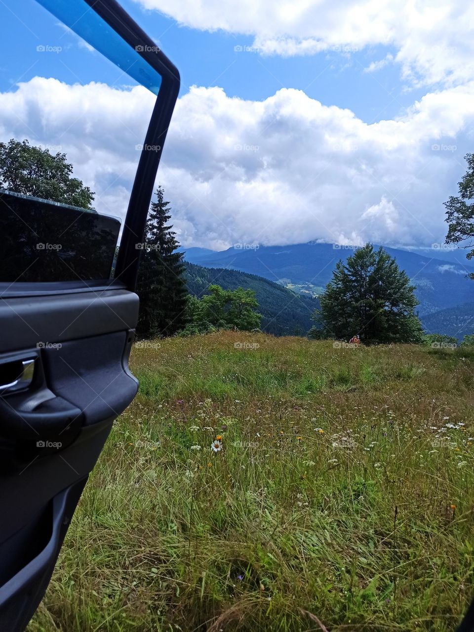 Your favourite travel destination
My beloved Carpathians. Green flower meadows. Cows with bells around their necks. Unforgettable trip across Ukraine. Mountains Dragobrat. Magnificent nature.