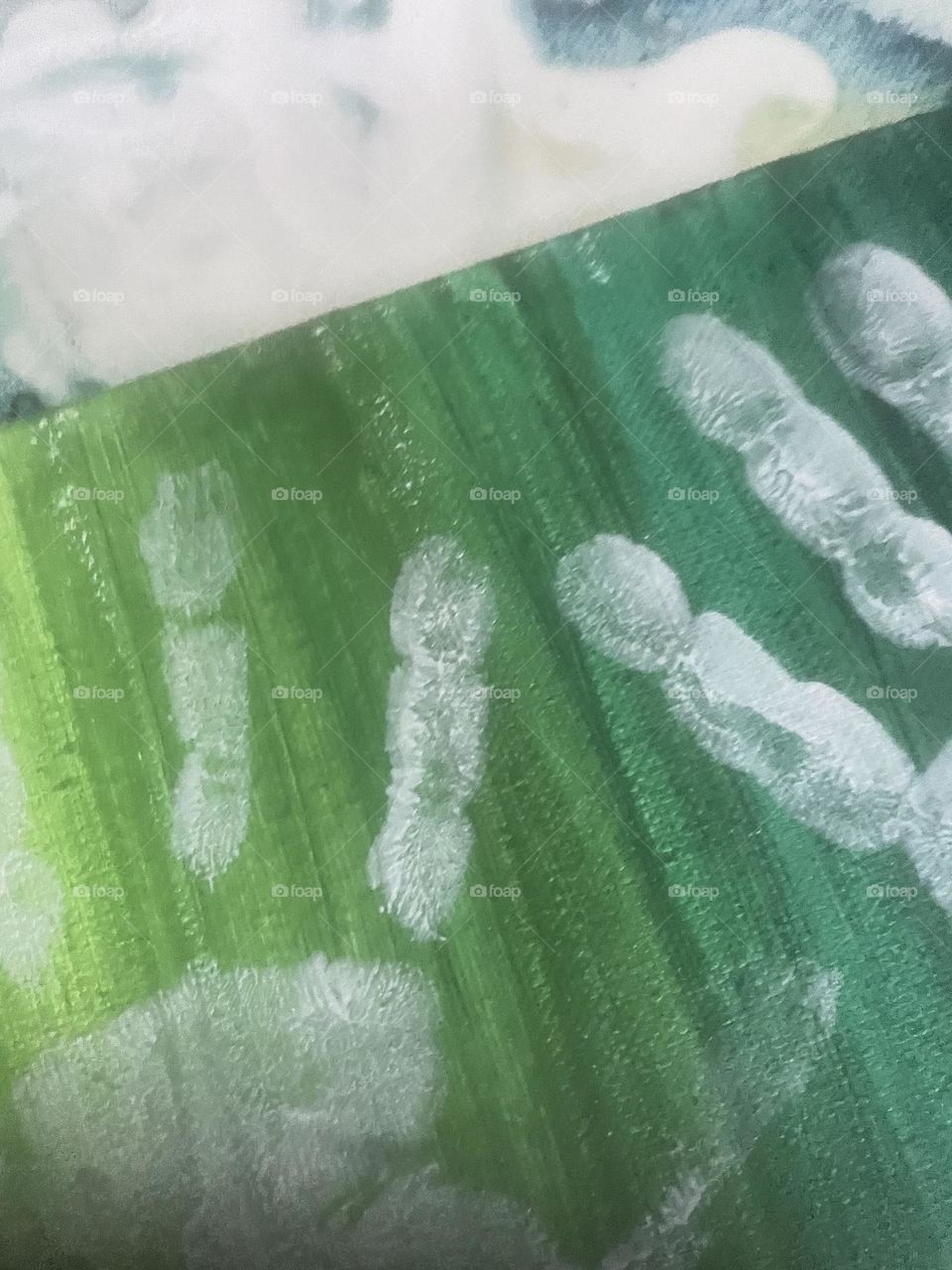 Fingerprints 