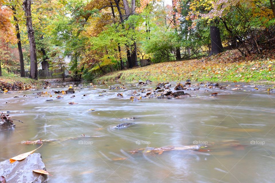 Streams scream beauty 