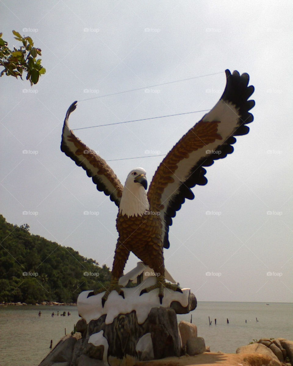 Eagle