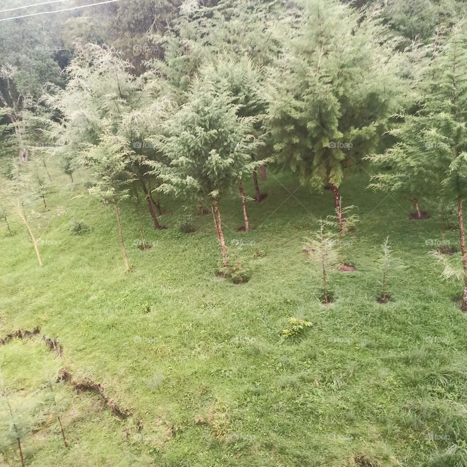 cool environment 😁