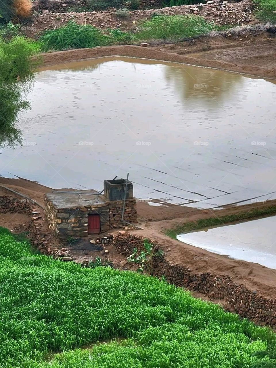 Glory be to God, the magnificent and picturesque view and the natural green trees are a view that is nothing more wonderful than it
