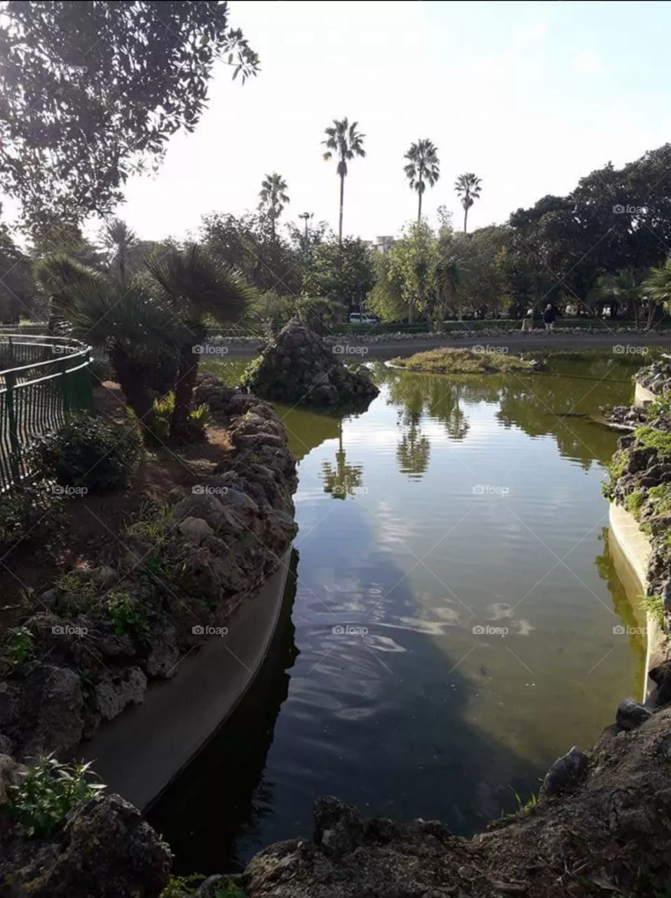 garden