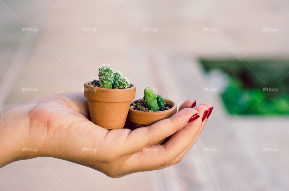 Close-up of a women holding plant