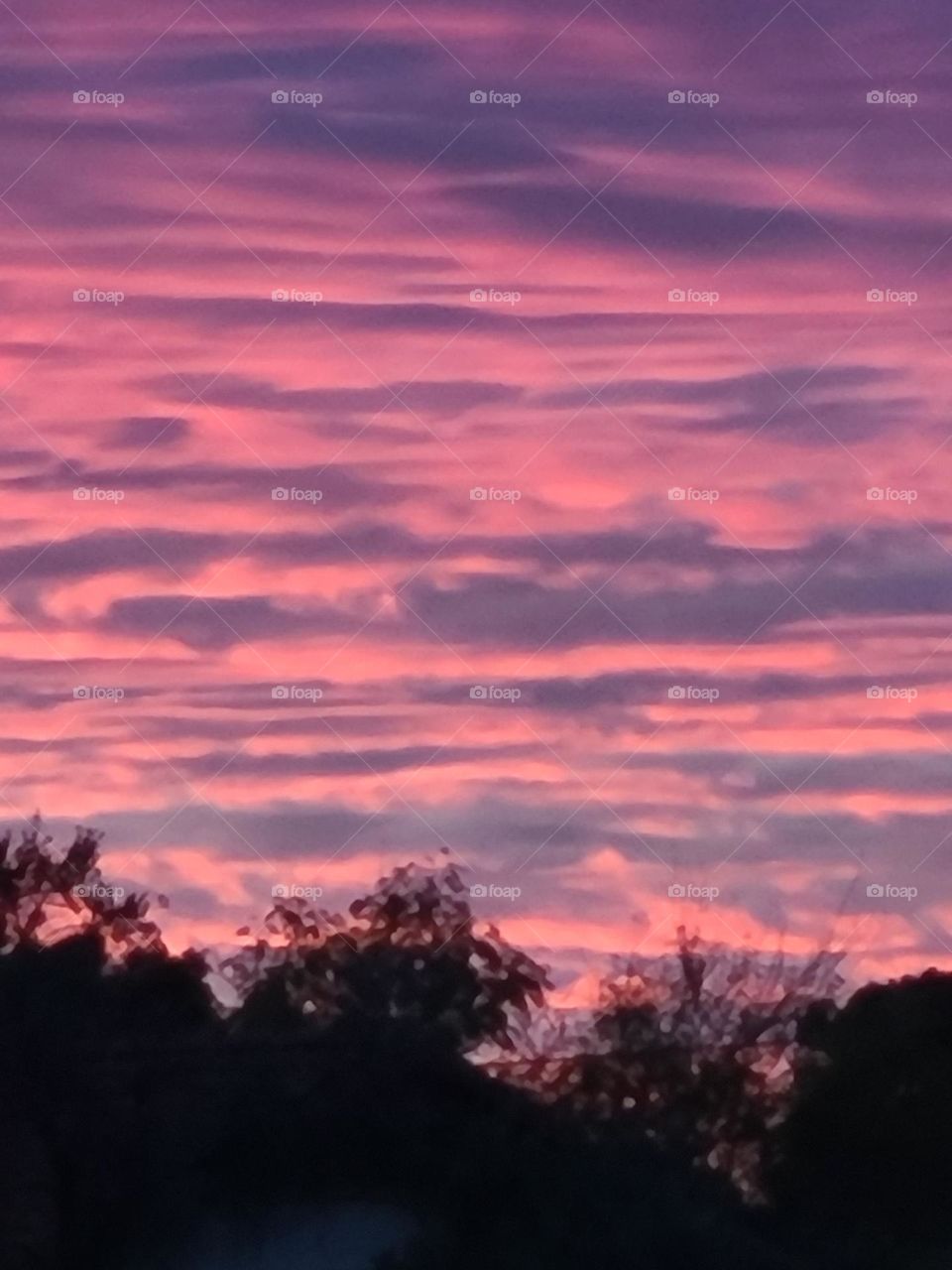 Exquisite Arizona sunset. Horizontal layers of gray clouds on a background of sapphire blue and purple.