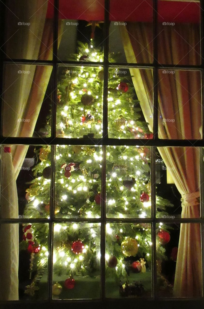 Christmas tree lit with fairy lights taken from outside of a house at Dunster