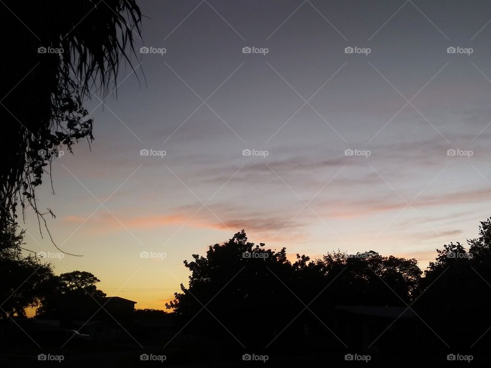 The end of the sun setting, framed by various trees