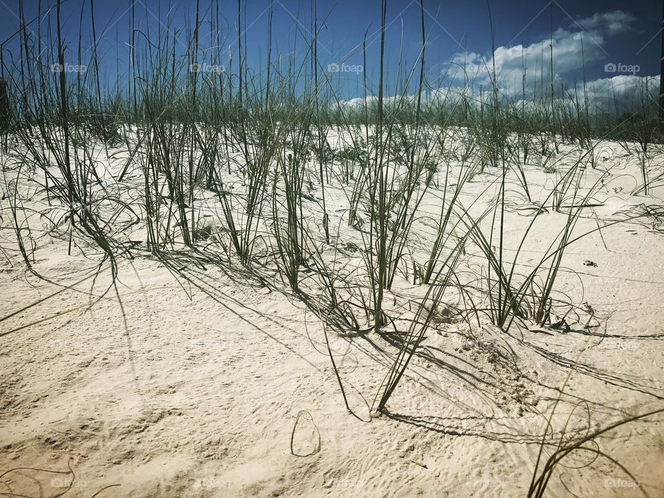 Pretty dunes