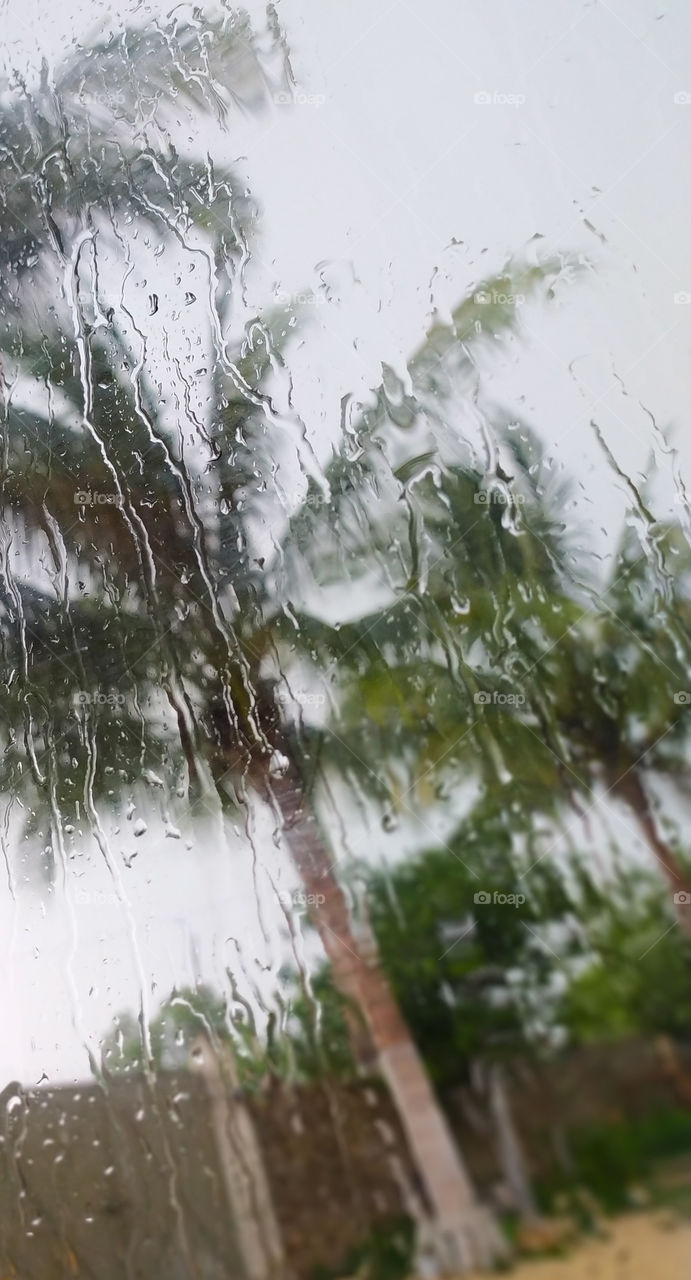 Glass with raindrops blur green palm trees