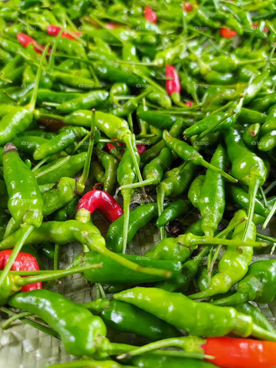spicy green chili pepper portrait