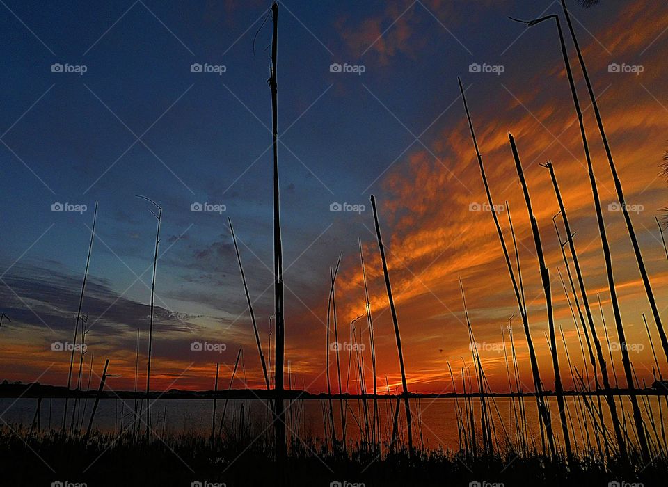 Navigation sunset